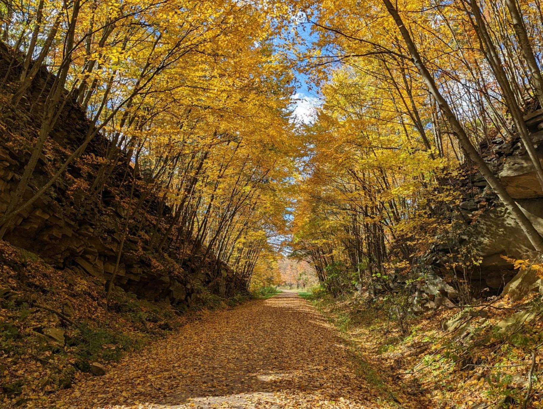 Stay In Ohiopyle Near Gap Trail, Restaurants, & The Fallls 外观 照片